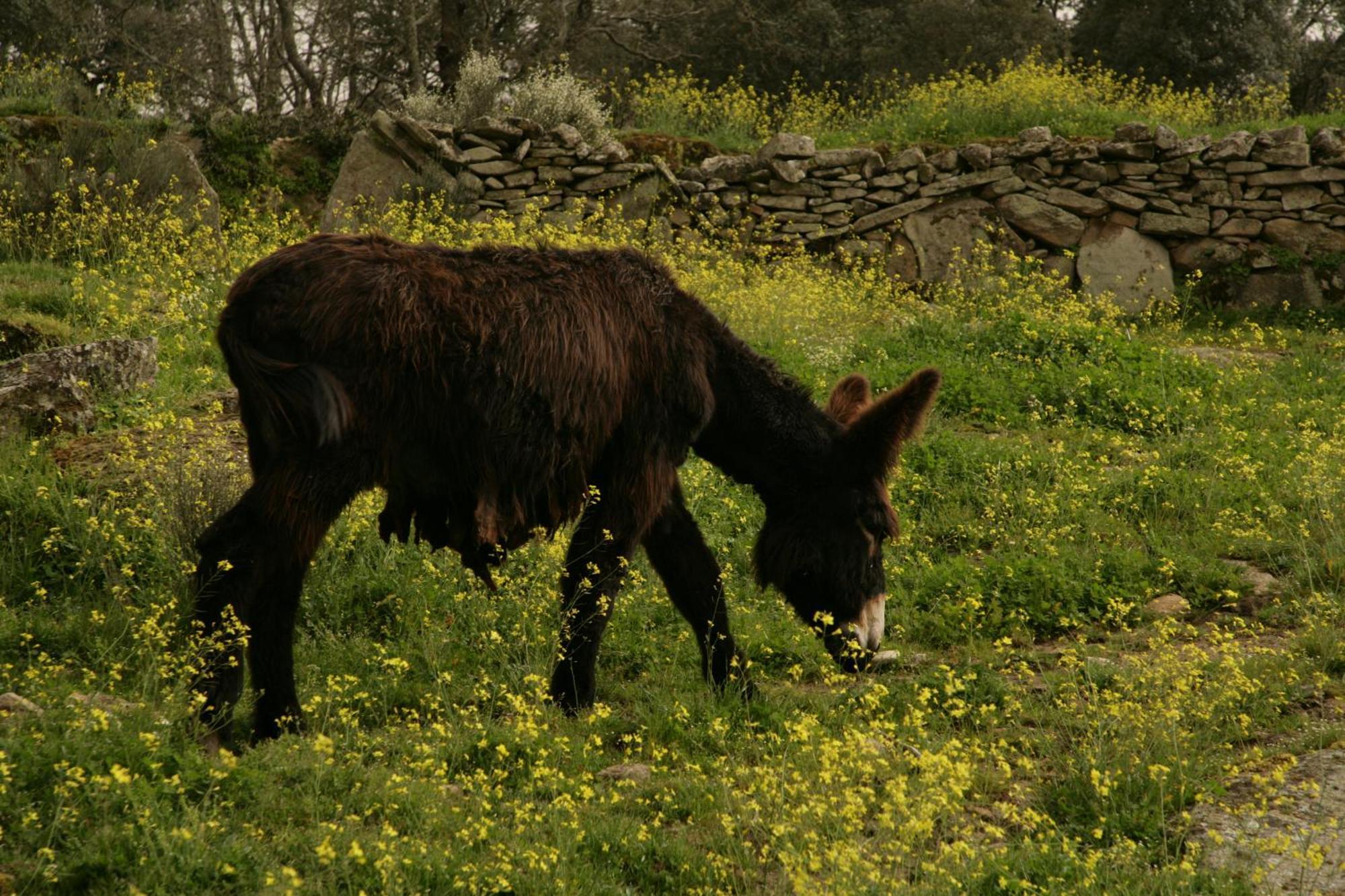 La Casa De Los Arribes Fornillos de Fermoselle Exteriér fotografie