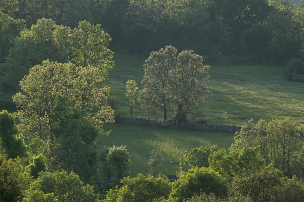 La Casa De Los Arribes Fornillos de Fermoselle Exteriér fotografie