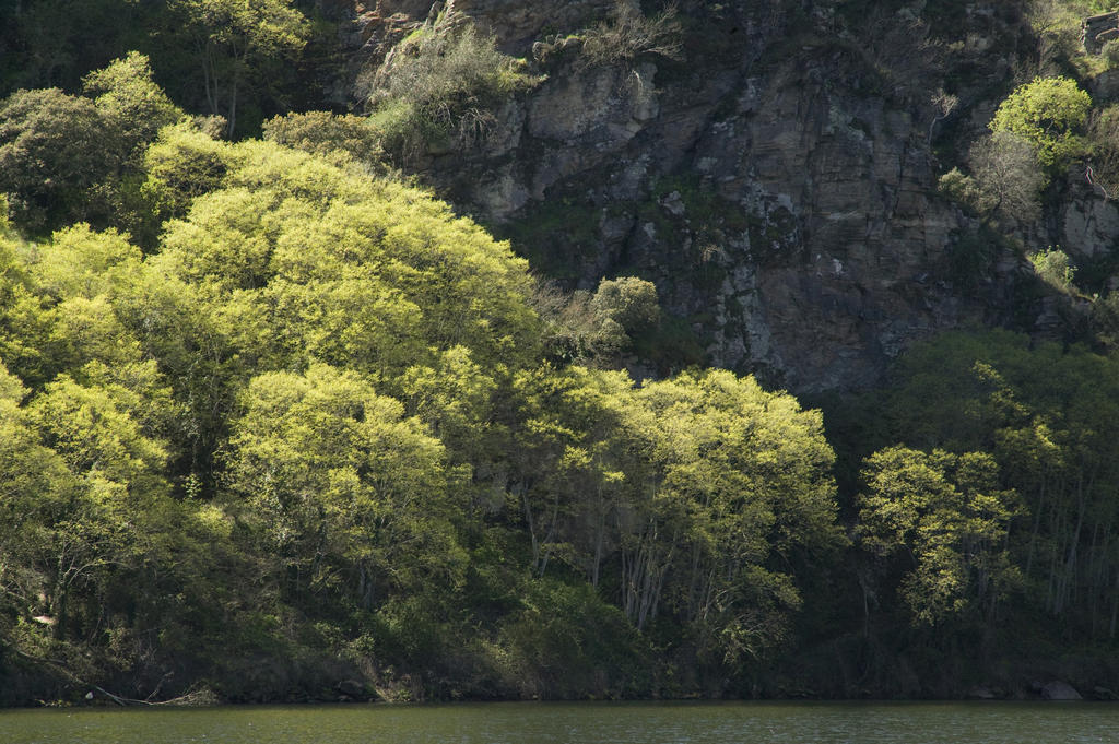 La Casa De Los Arribes Fornillos de Fermoselle Exteriér fotografie